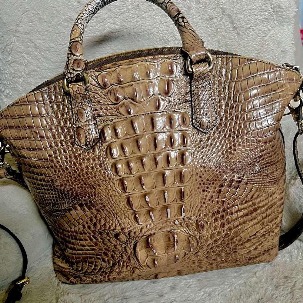 Brahmin
